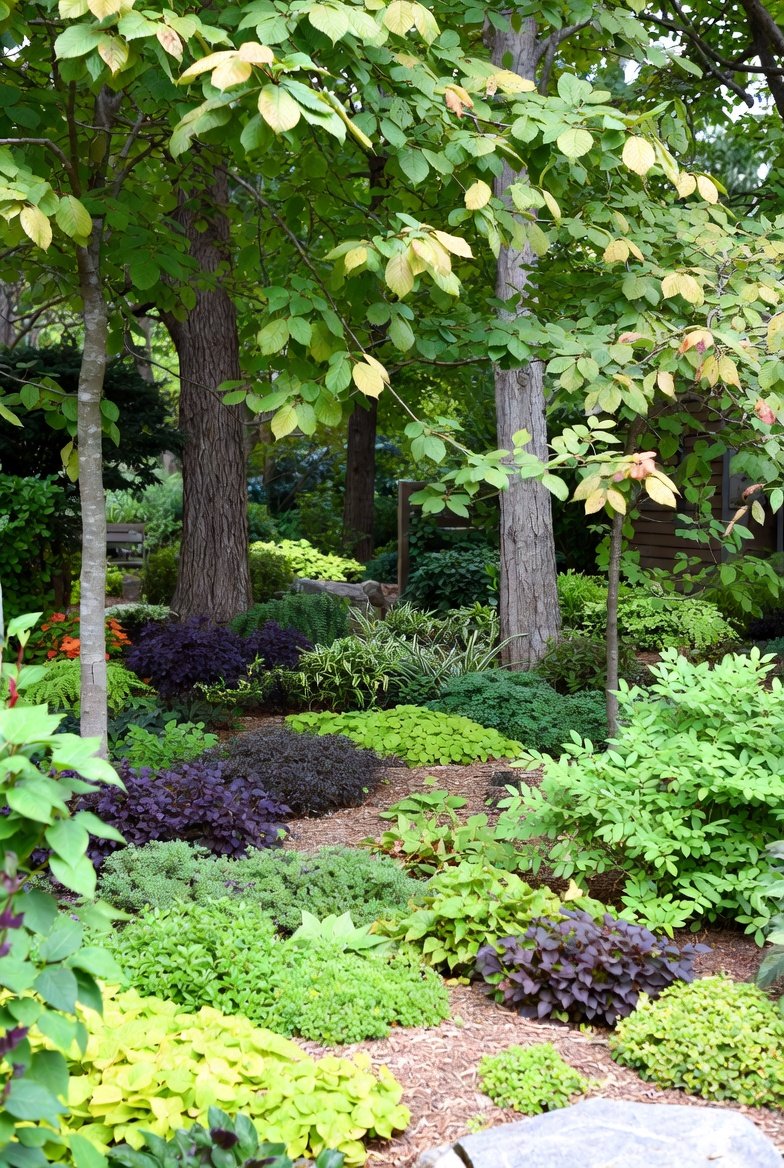 16 Cape Cod Landscaping Ideas | Garden & Outdoor Design